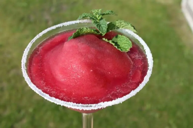 Frozen Pomegranate Margarita