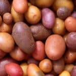 potato_types