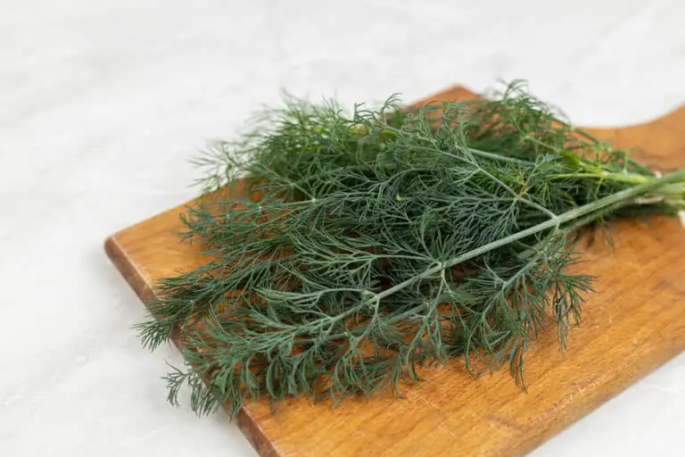 Substitutes For Dill Weed and Seed – What Can I Use Instead?