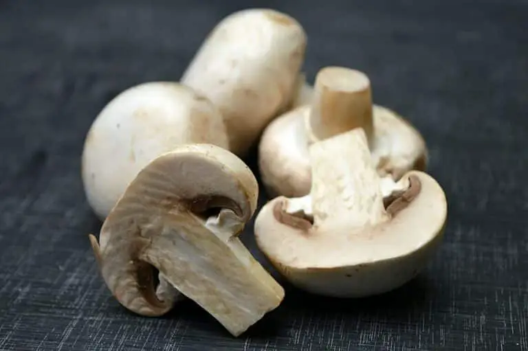 Substitutes for Mushrooms – What Can I Use Instead