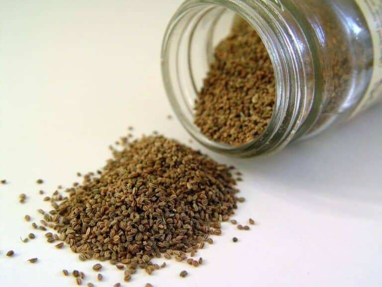 Substitutes For Celery Seed – What Can I Use Instead?