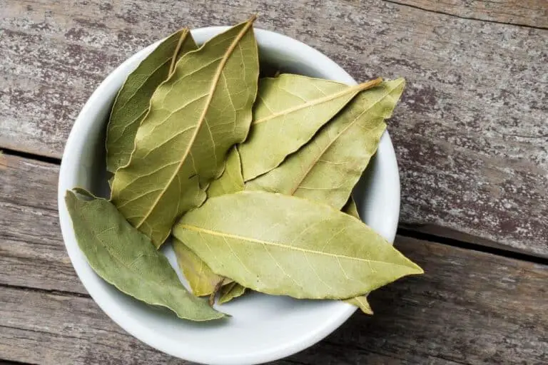 Substitutes for Bay Leaf – What Can I Use Instead