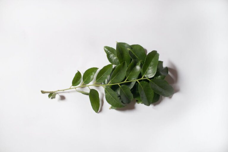 Substitutes for Curry Leaves – What Can I Use Instead?