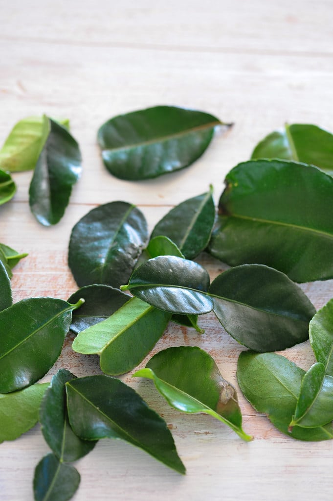 Substitutes for Kaffir Lime Leaves – What Can I Use Instead?