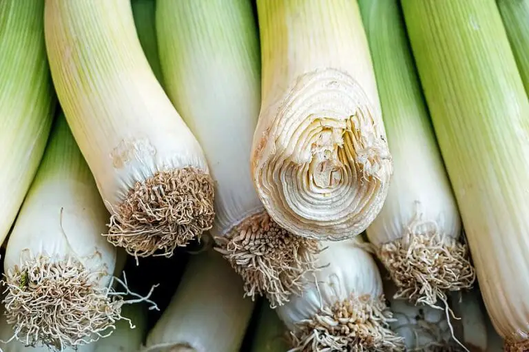 Substitutes for Leek – What Can I Use Instead?