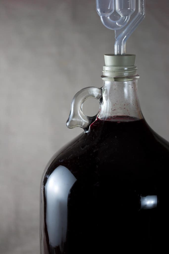 Substitutes For Red Wine Vinegar – What Can I Use Instead?