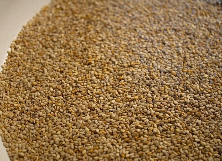 Substitutes for Sesame Seeds – What Can I Use Instead?
