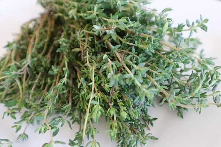 Substitutes for Thyme – What Can I Use Instead?