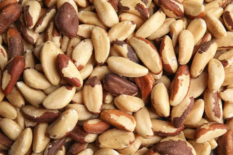 How Long Do Brazil Nuts Last? Can They Go Bad?