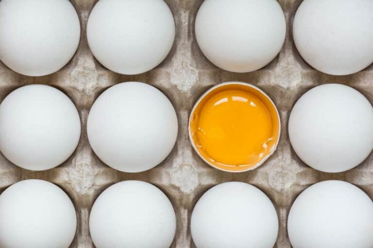How Long Do Eggs Last? Can they Go Bad?