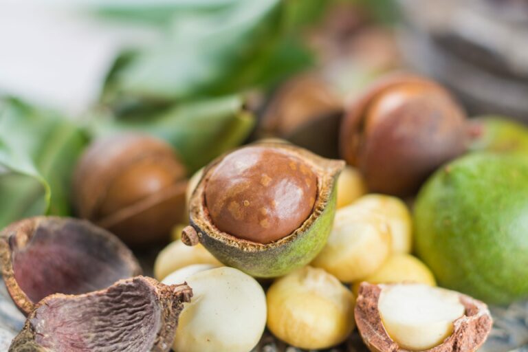 How Long Do Macadamia Nuts Last? Can They Go Bad?