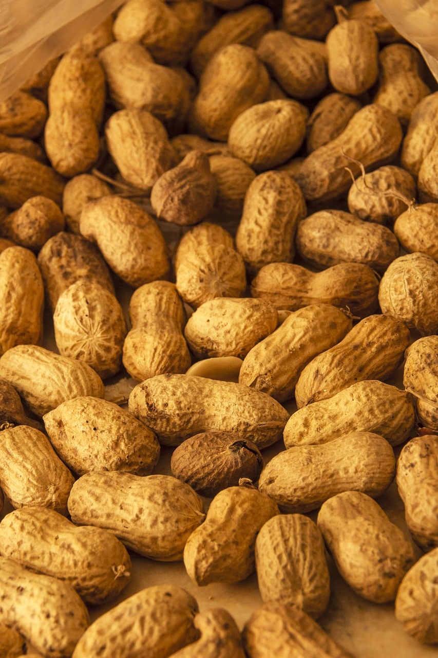 How Long Do Peanuts Last? Can They Go Bad?
