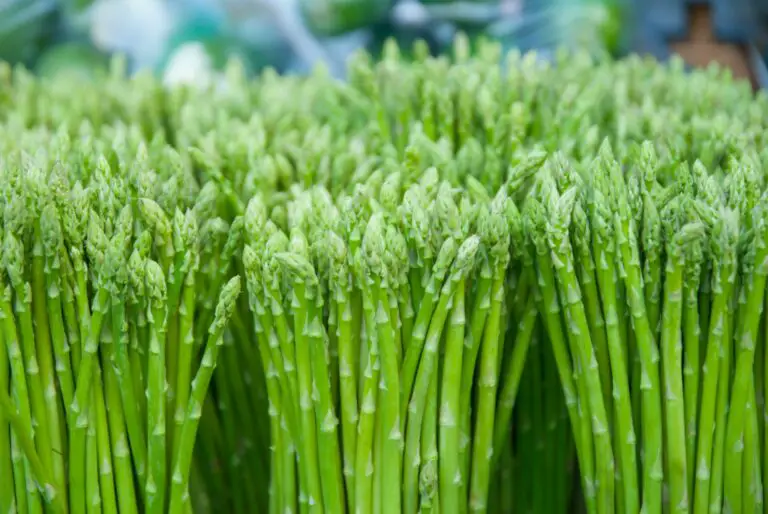 How Long Does Asparagus Last? Can It Go Bad?