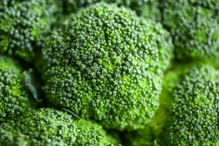 How Long Does Broccoli Last? Can It Go Bad?
