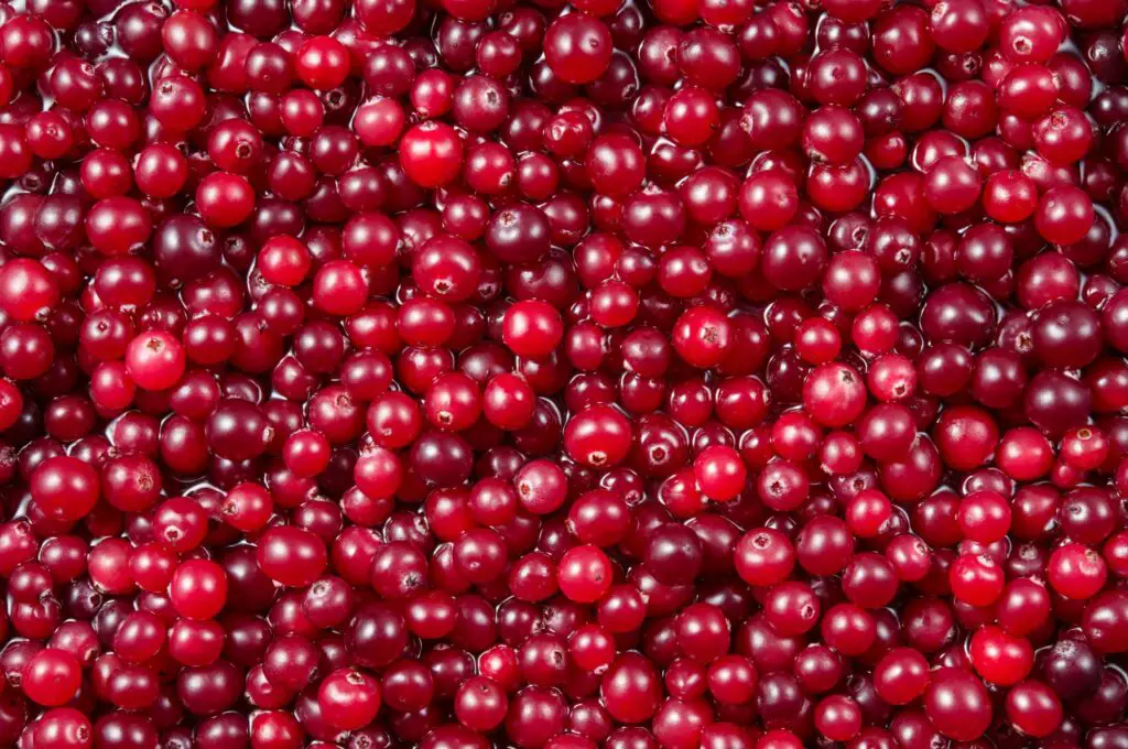 How Long Do Cranberries Last? Can They Go Bad?