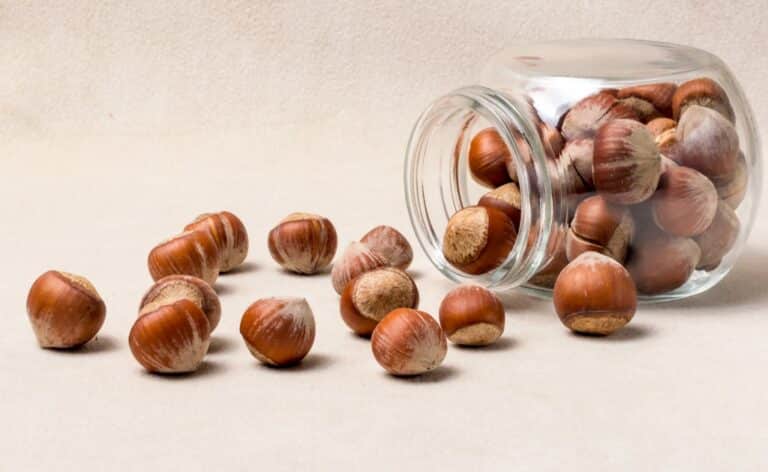 How Long Do Hazelnuts Last? Can They Go Bad?