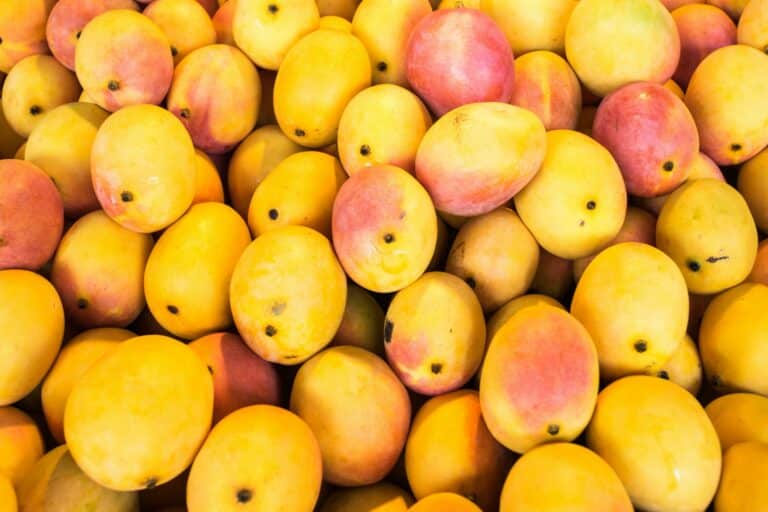 How Long Do Mangoes Last? Can They Go Bad?