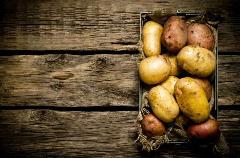 Substitutes for Potatoes – What Can I Use Instead?