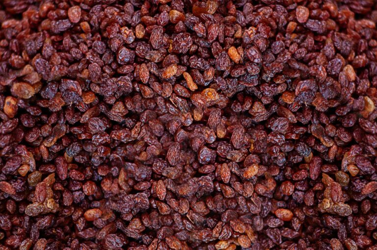 How long do raisins last? Can They Go Bad?