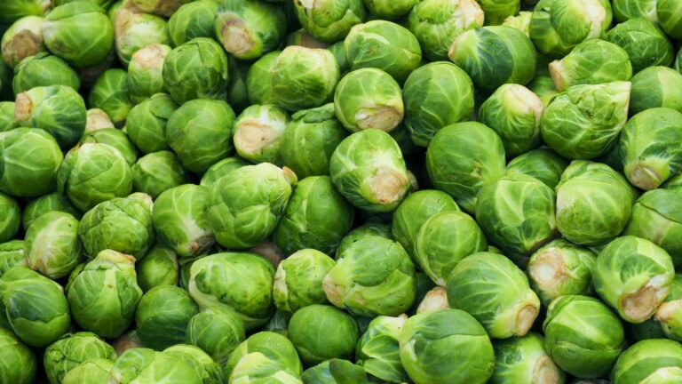 How Long Do Brussel Sprouts Last? Can They Go Bad?