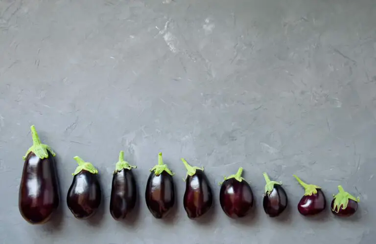How long do eggplants last? Can they go bad?