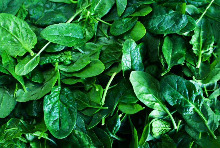 How Long Does Spinach Last? Can it Go Bad?