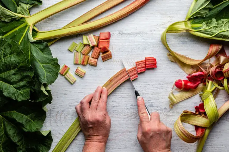 How Long Does Rhubarb Last? Can It Go Bad?