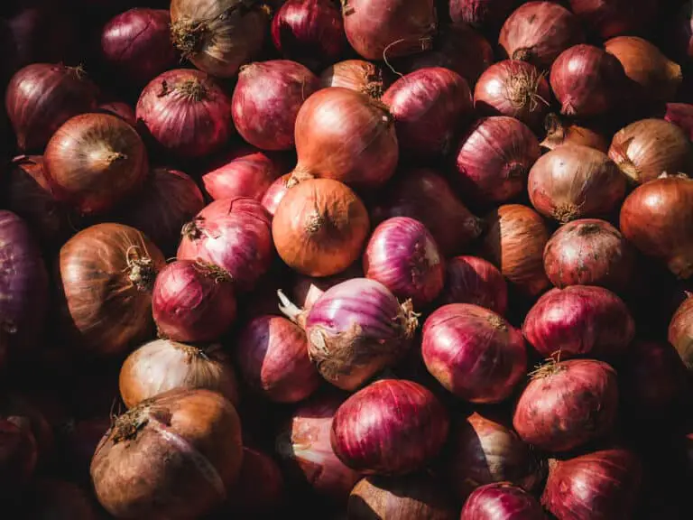 Substitutes for Onion – What can I use instead?