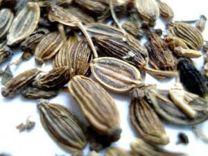 dried dill seed