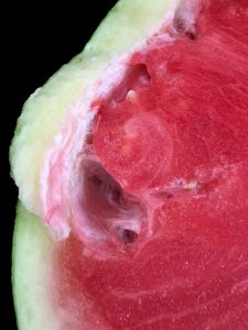 watermelon safety 6