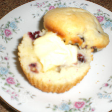 Blueberry Muffin 2