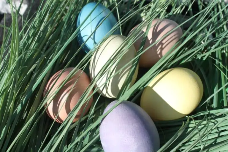 All-Natural Easter Egg Dye