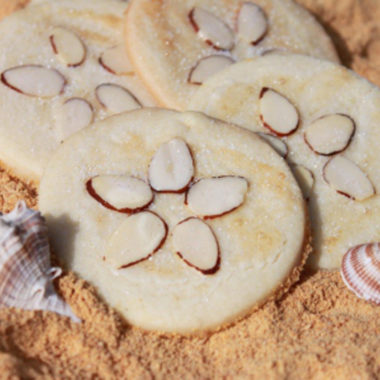 Sand Dollar Cookie1