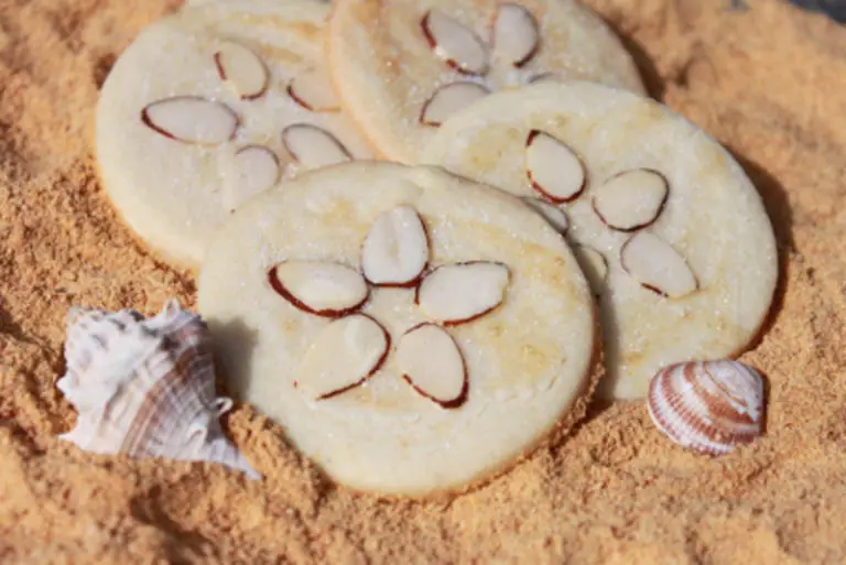 Sand Dollar Shortbread Cookies